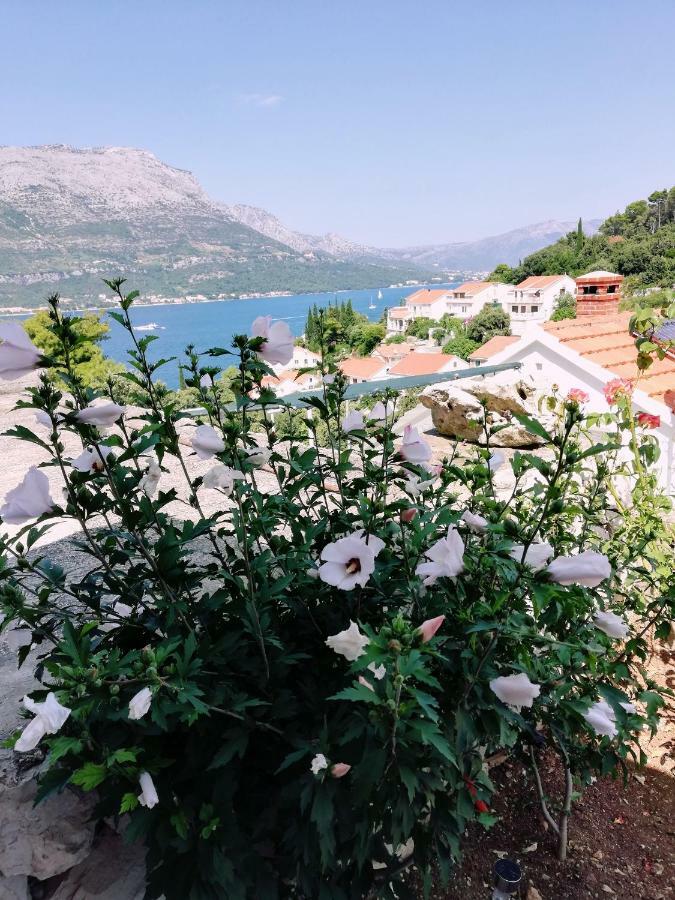 Amore Korčula Dış mekan fotoğraf